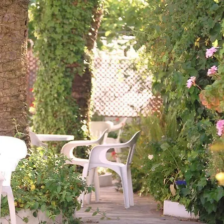 California Hotel *